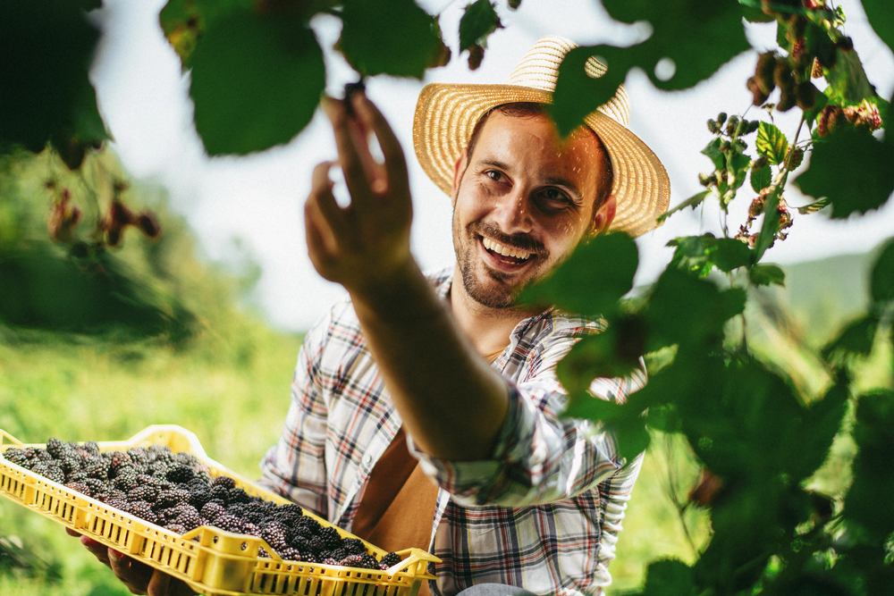 retrato hombre en cultivo